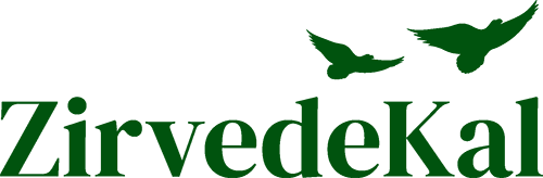 ZirvedeKal